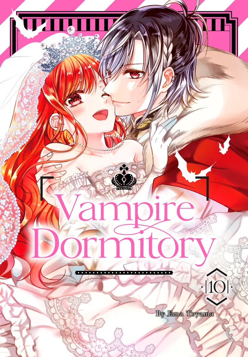 Cover of Vampire Dormitory Vol 10