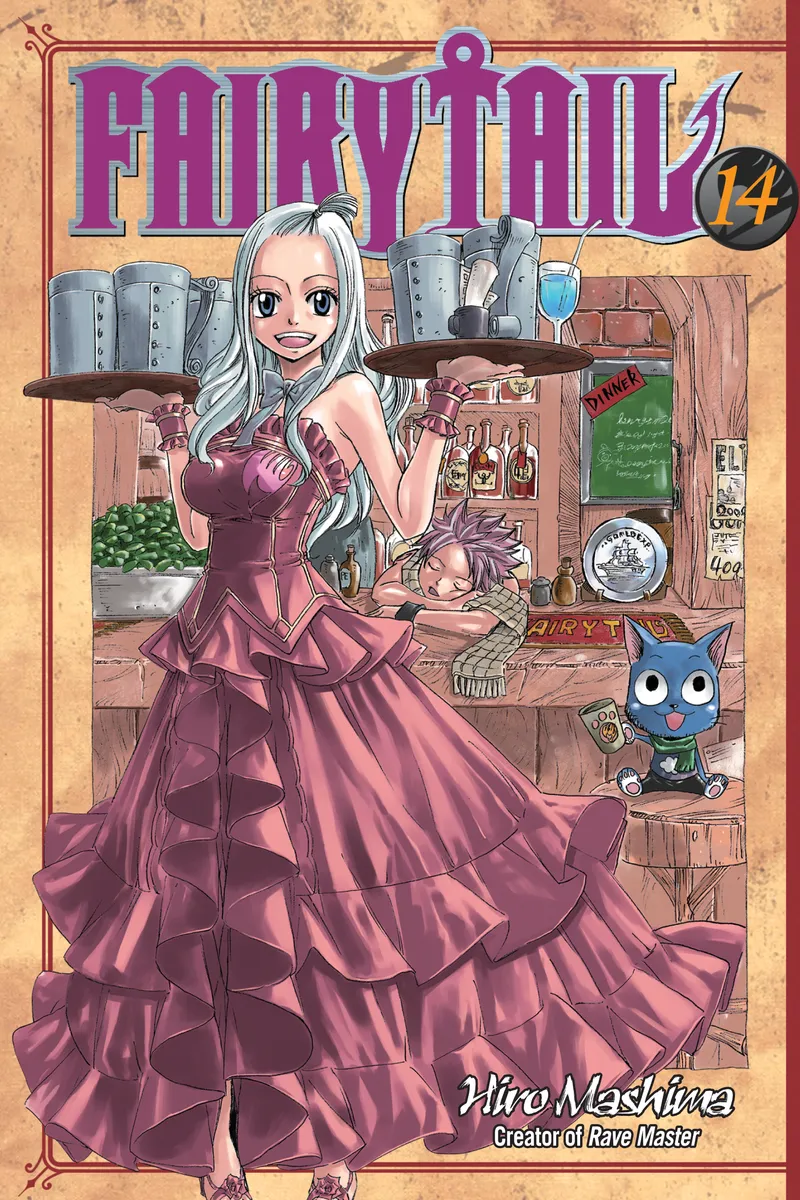Cover of FAIRY TAIL Vol 14