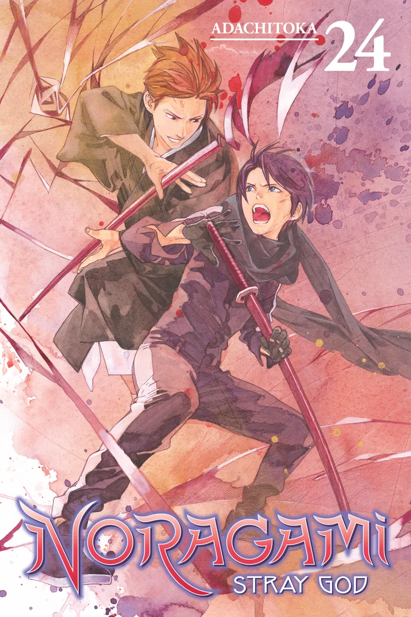 Cover of Noragami: Stray God Vol 24