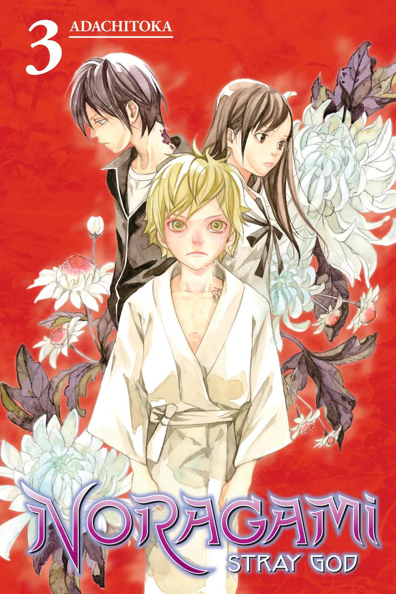 Cover of Noragami: Stray God Vol 3