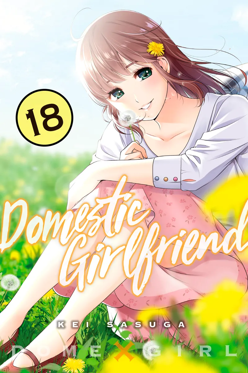 Cover of Domestic Girlfriend Vol 18