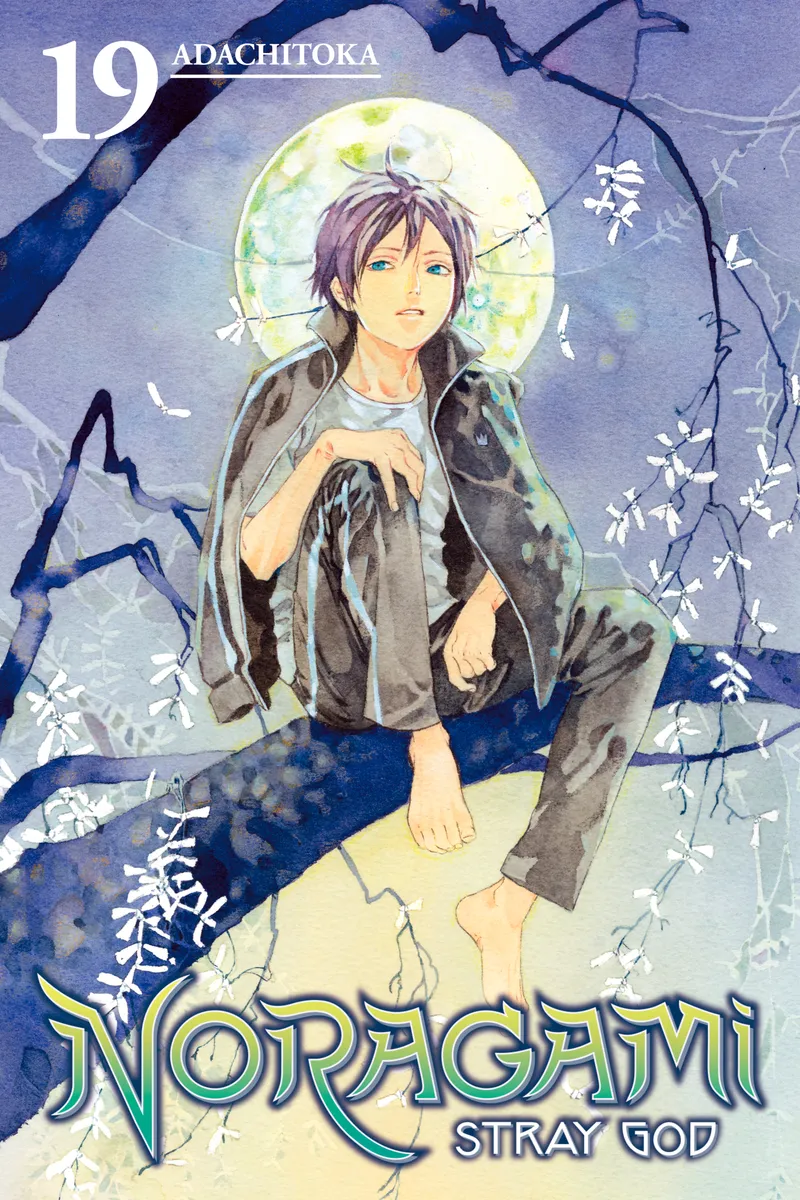 Cover of Noragami: Stray God Vol 19