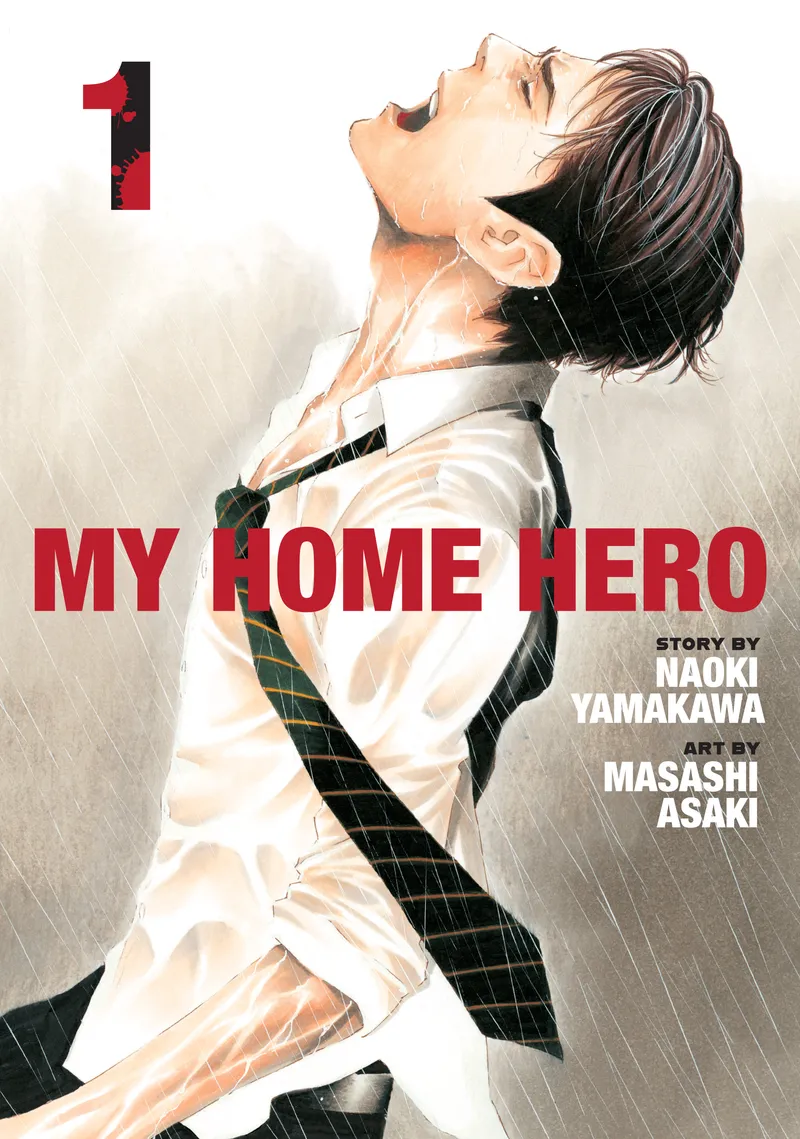 Cover of My Home Hero Vol. 1