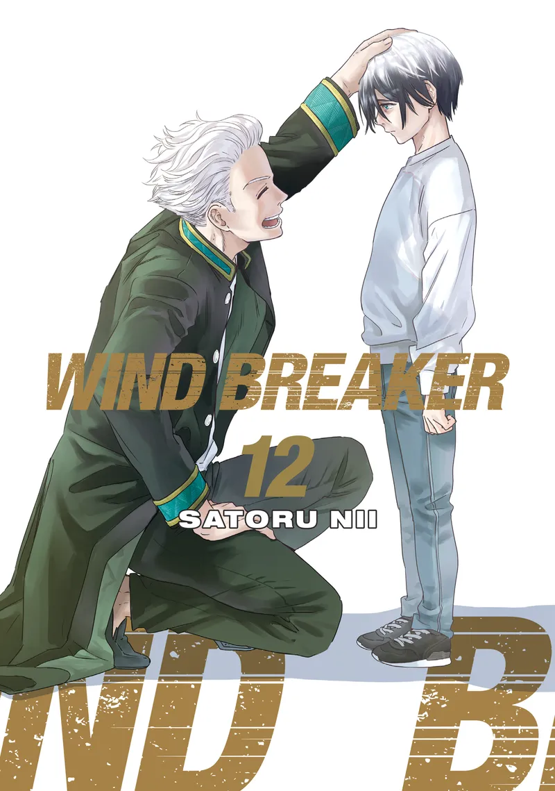 Cover of WIND BREAKER Vol. 12