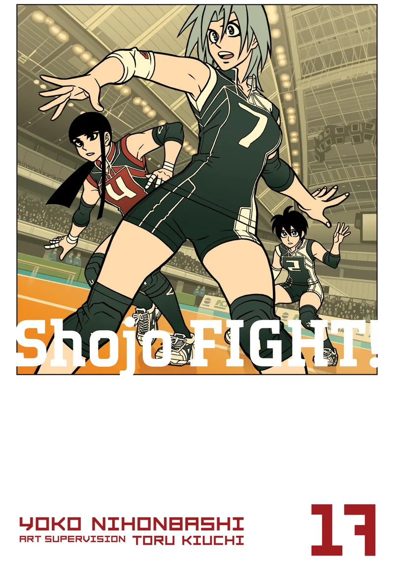 Cover of Shojo Fight Vol 17