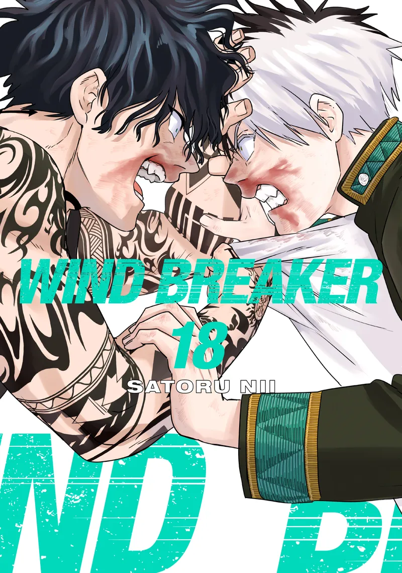 Cover of WIND BREAKER Vol 18