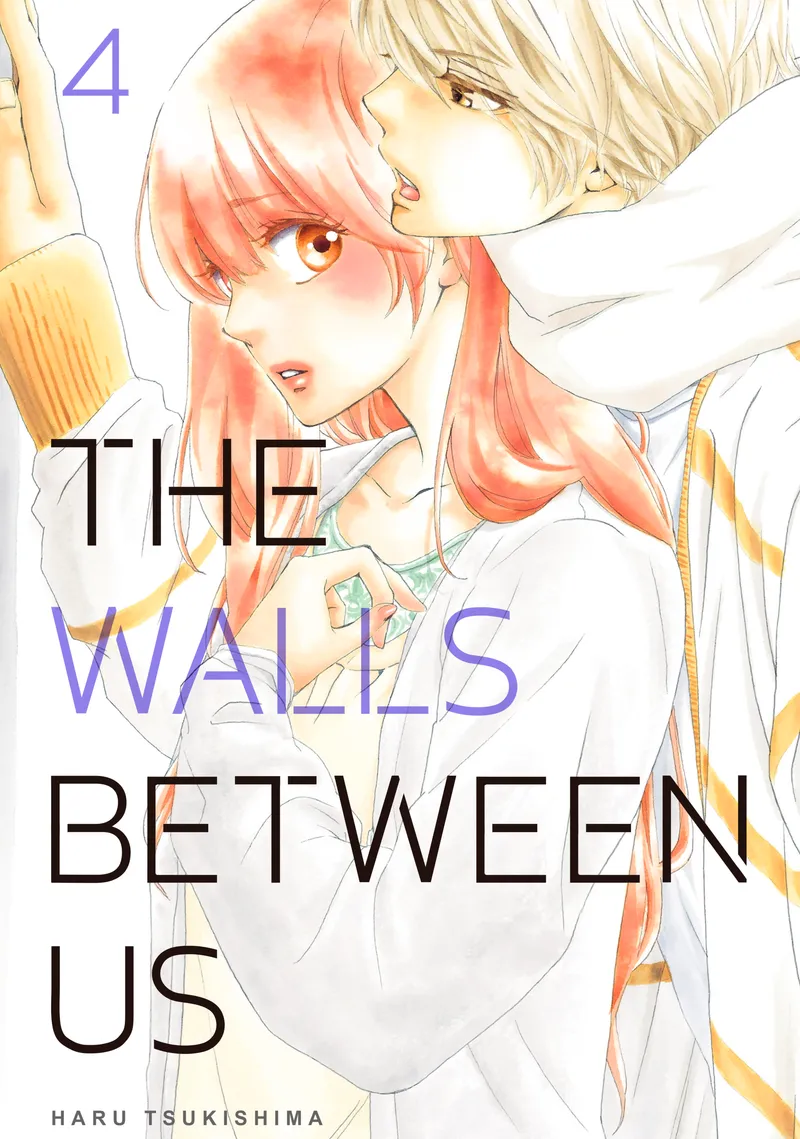 Cover of The Walls Between Us Vol 4