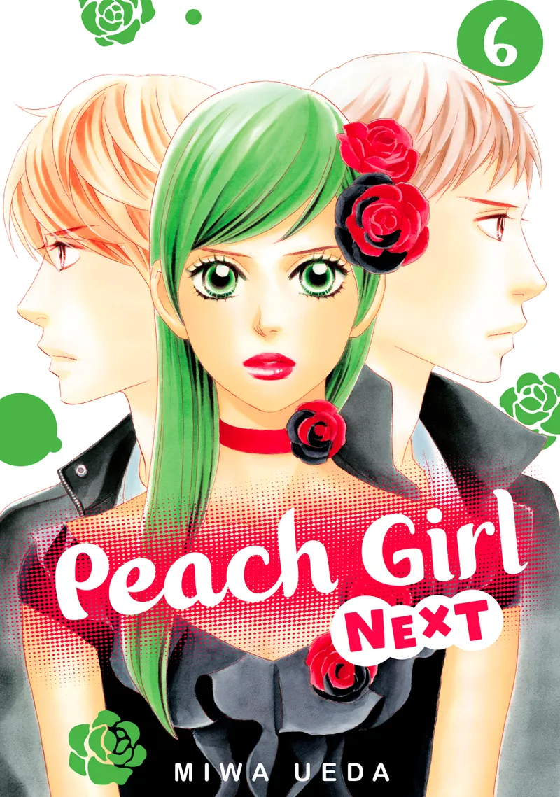 Cover of Peach Girl NEXT Vol 6