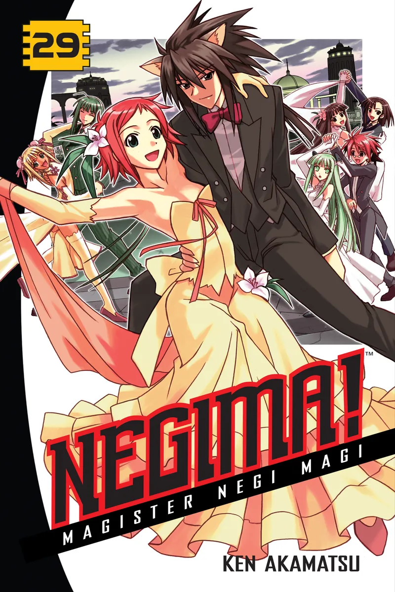 Cover of Negima! Vol. 29