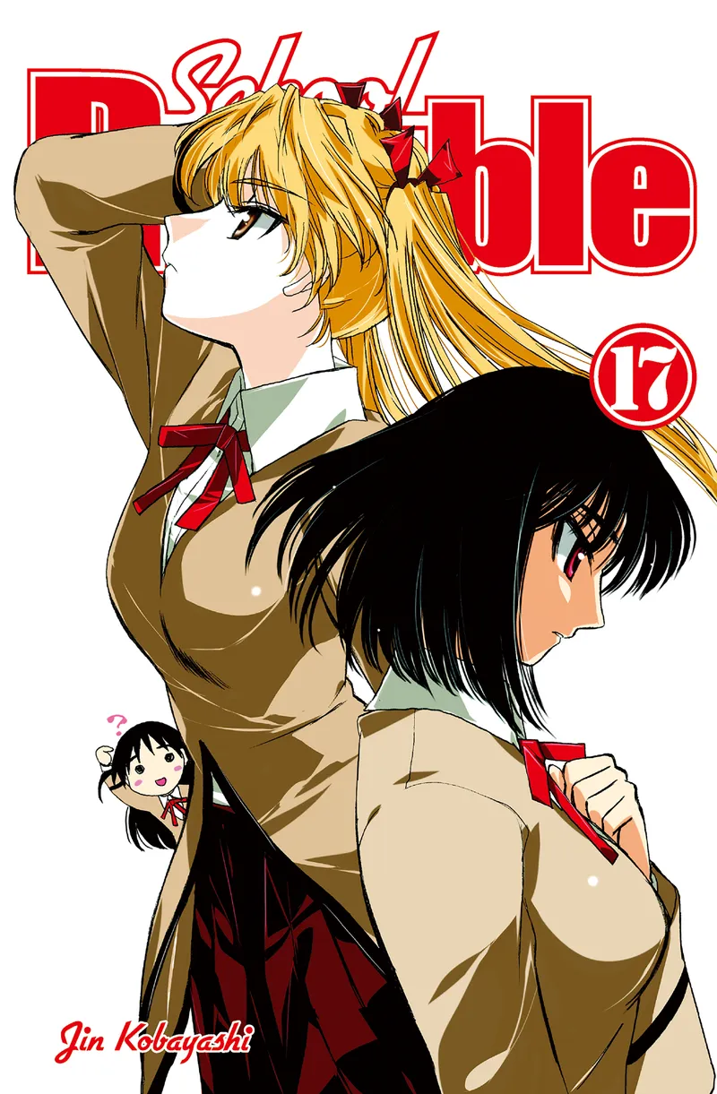 Cover of School Rumble Vol 17