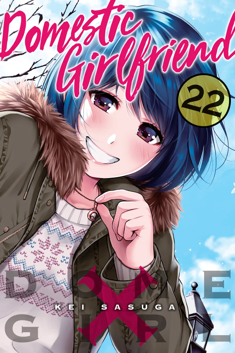 Cover of Domestic Girlfriend Vol 22