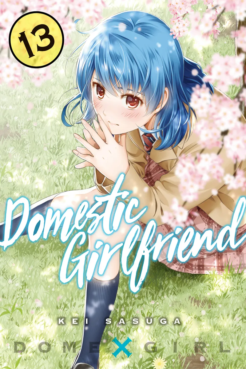 Cover of Domestic Girlfriend Vol 13