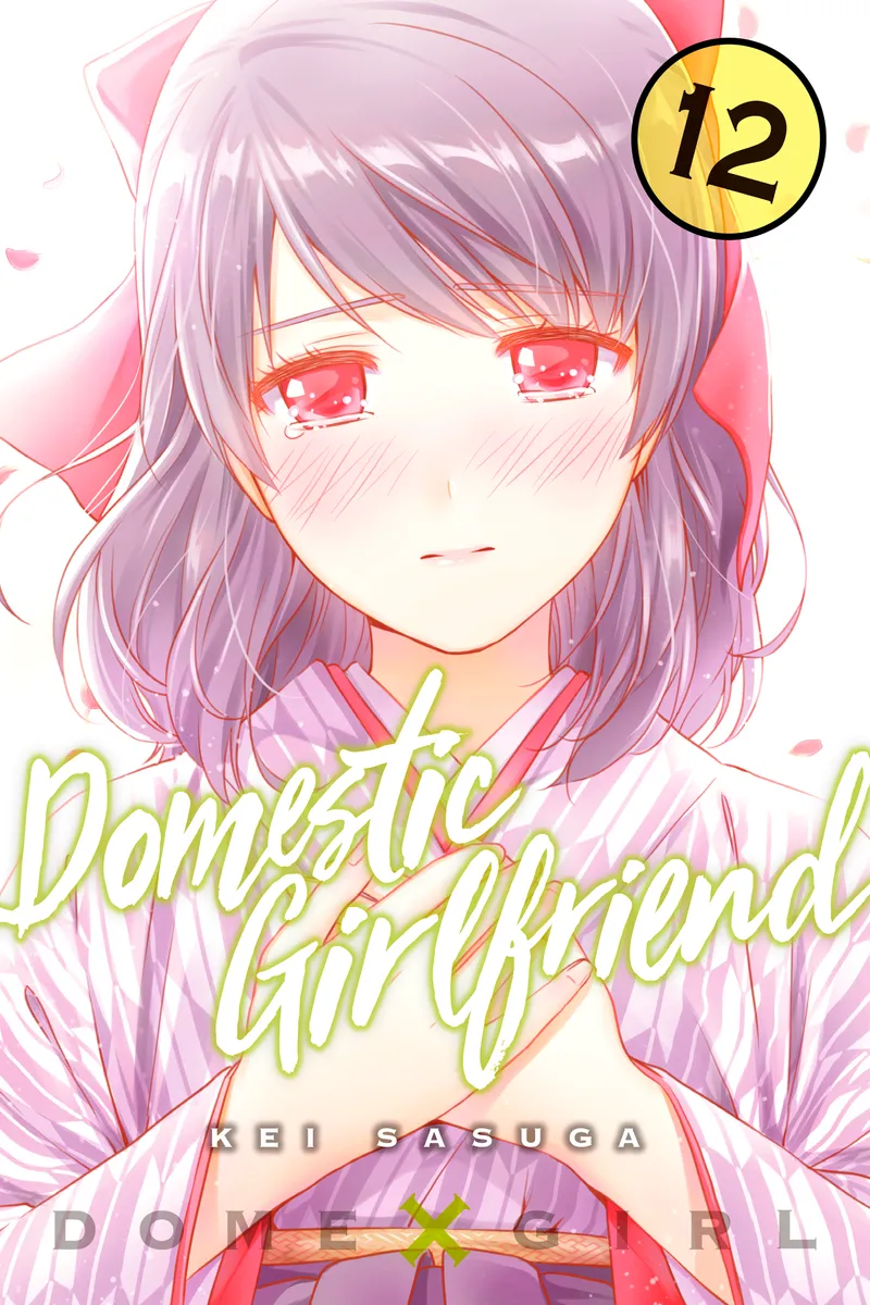 Cover of Domestic Girlfriend Vol 12