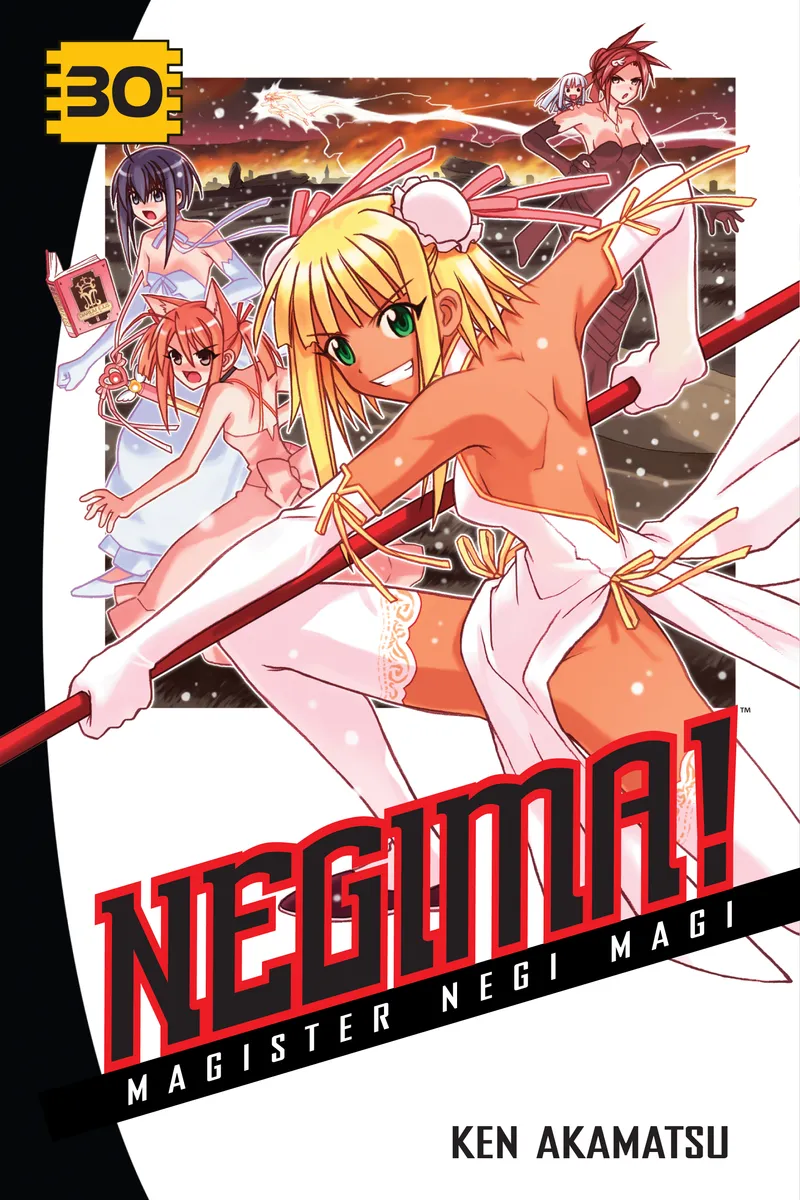 Cover of Negima! Vol. 30