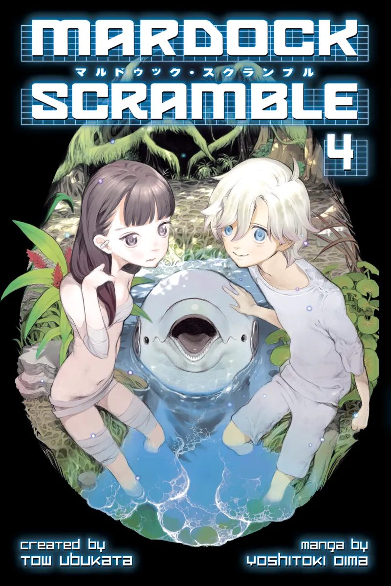 Cover of Mardock Scramble Vol 4