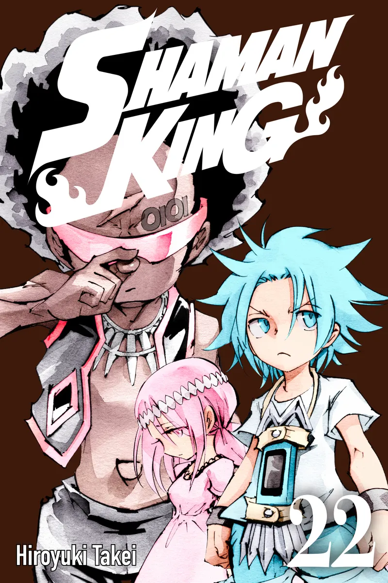 Cover of SHAMAN KING Vol 22