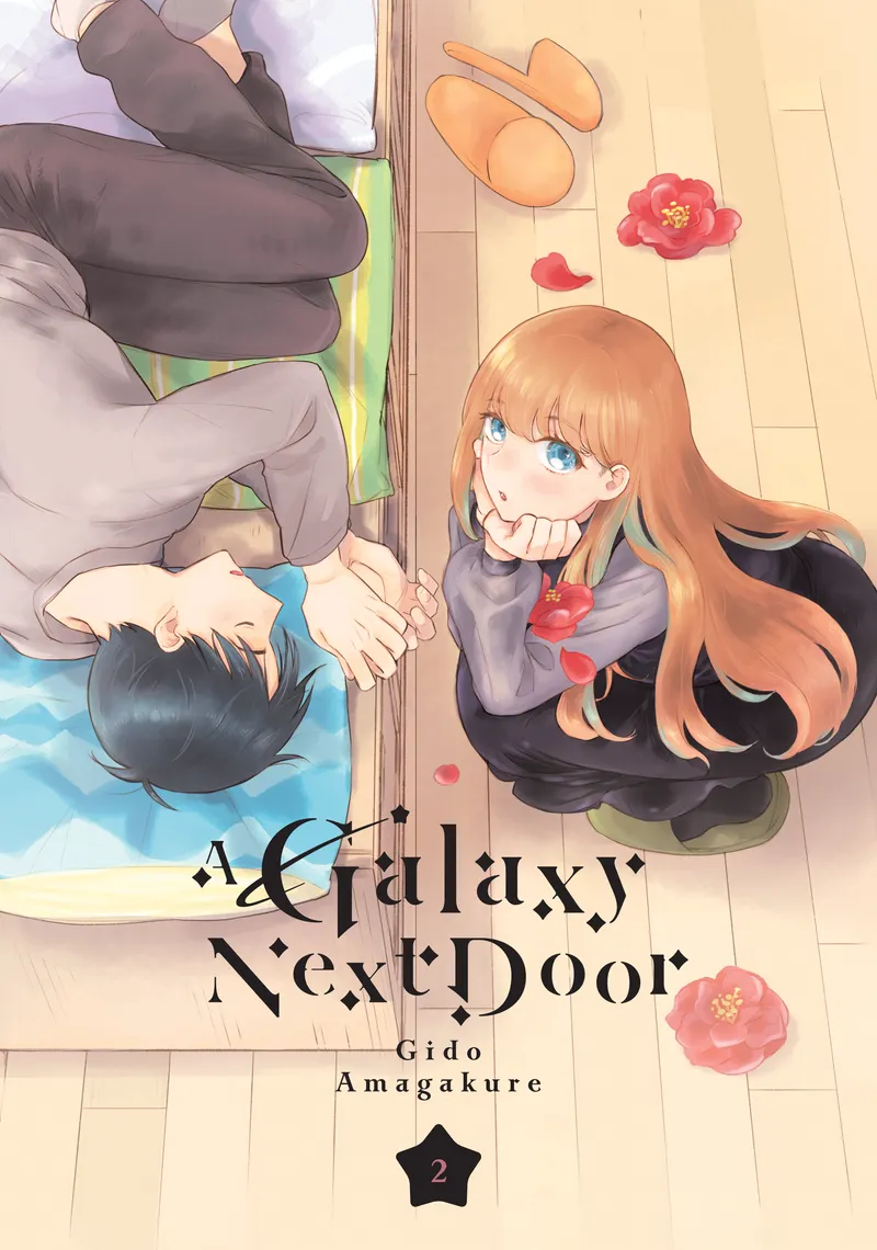 Cover of A Galaxy Next Door Vol 2
