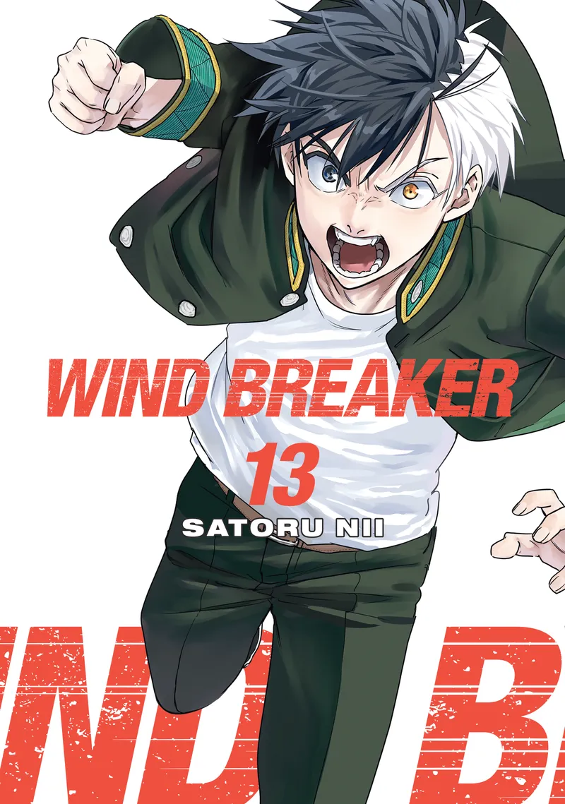 Cover of WIND BREAKER Vol 13