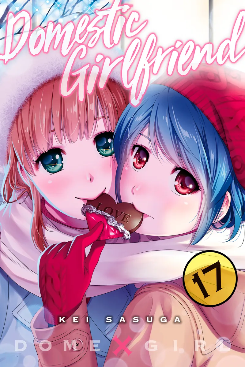Cover of Domestic Girlfriend Vol. 17