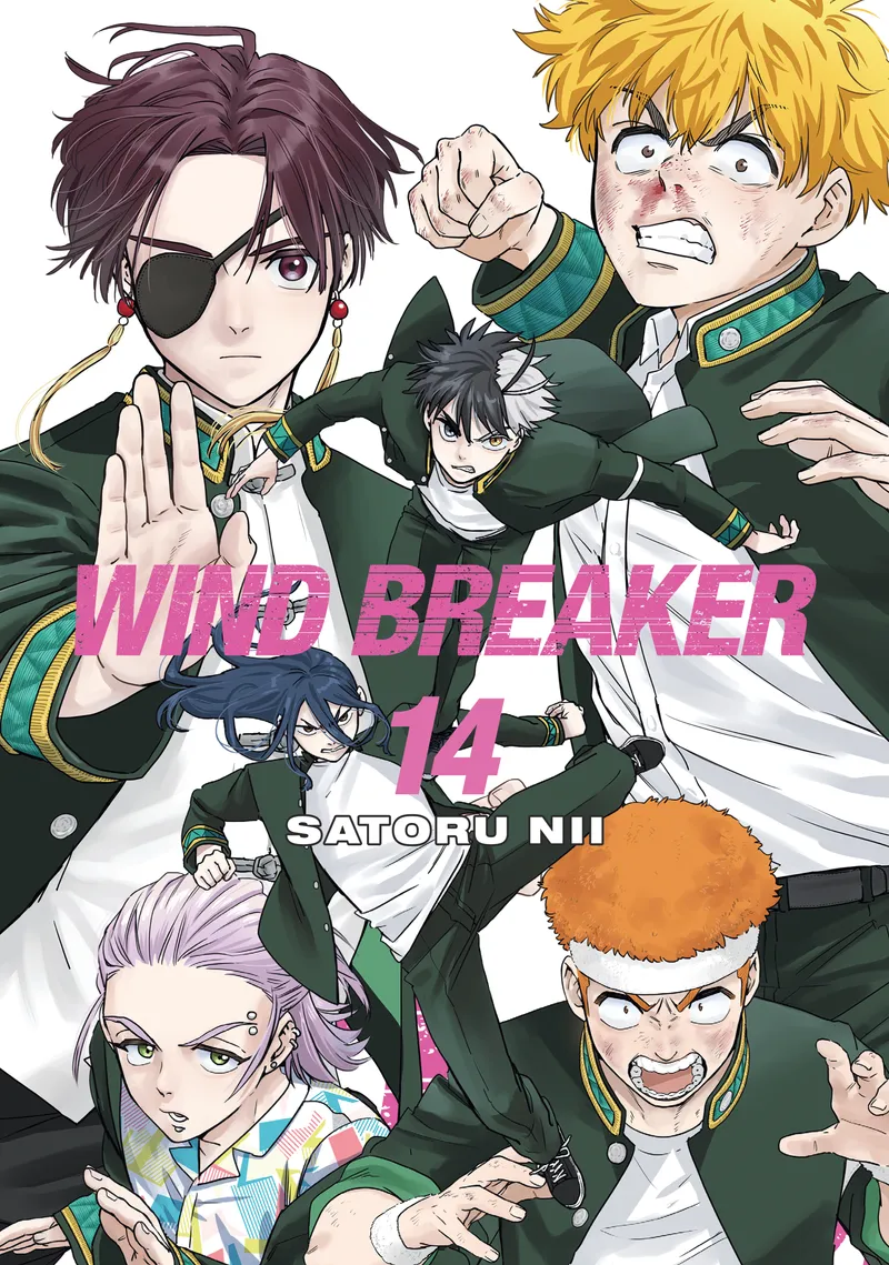 Cover of WIND BREAKER Vol 14