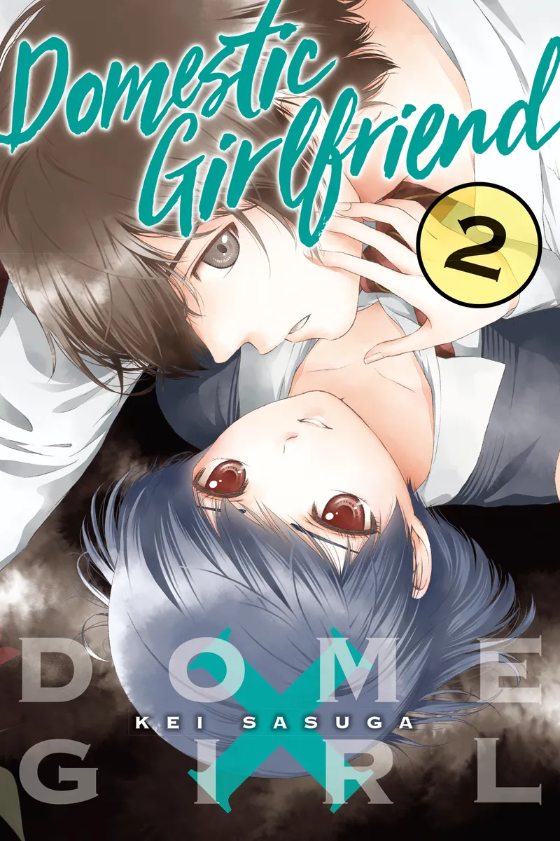Cover of Domestic Girlfriend Vol 2