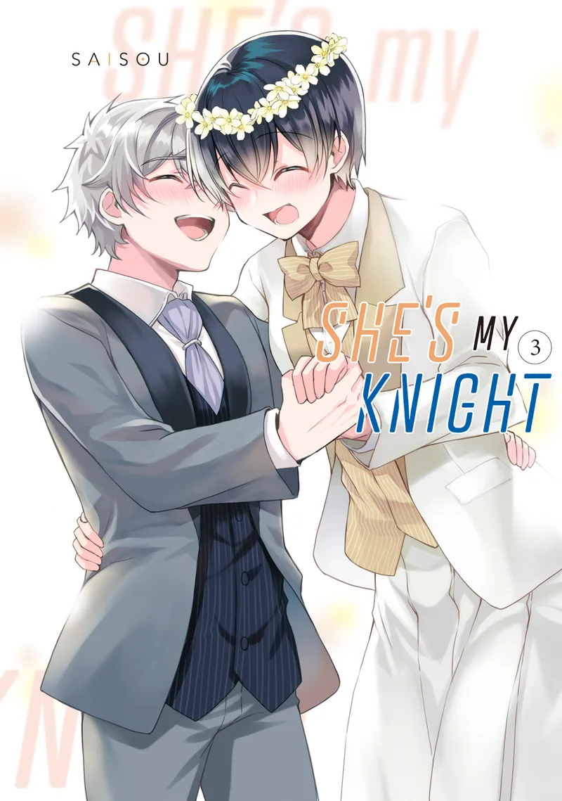 Cover of She's My Knight Vol 3