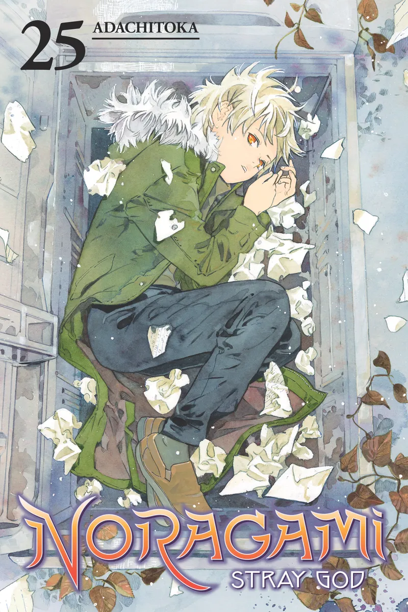 Cover of Noragami: Stray God Vol 25