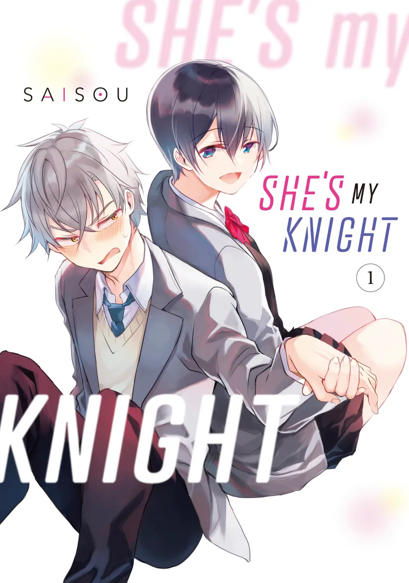 Cover of She's My Knight Vol. 1
