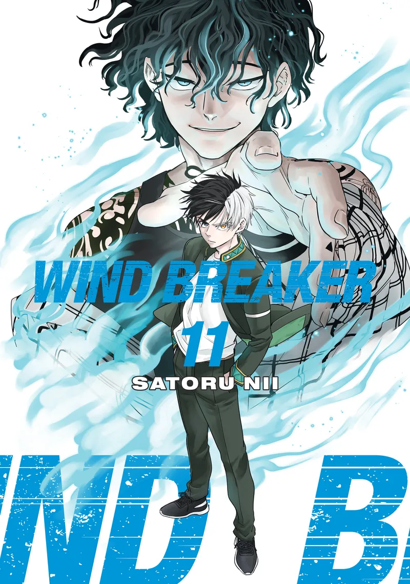 Cover of WIND BREAKER Vol 11