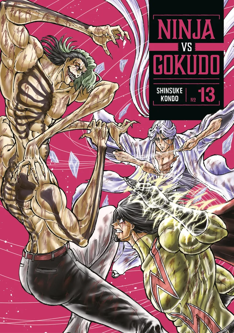 Cover of Ninja Vs. Gokudo Vol 13