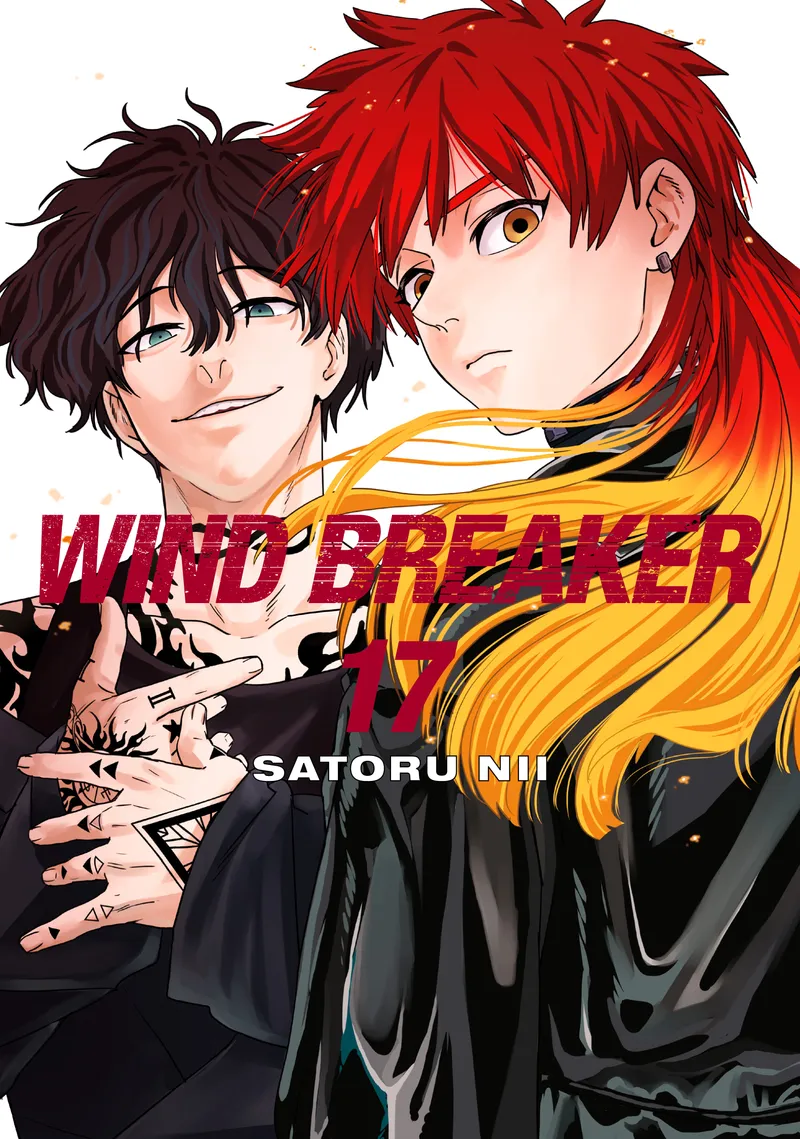 Cover of WIND BREAKER Vol 17