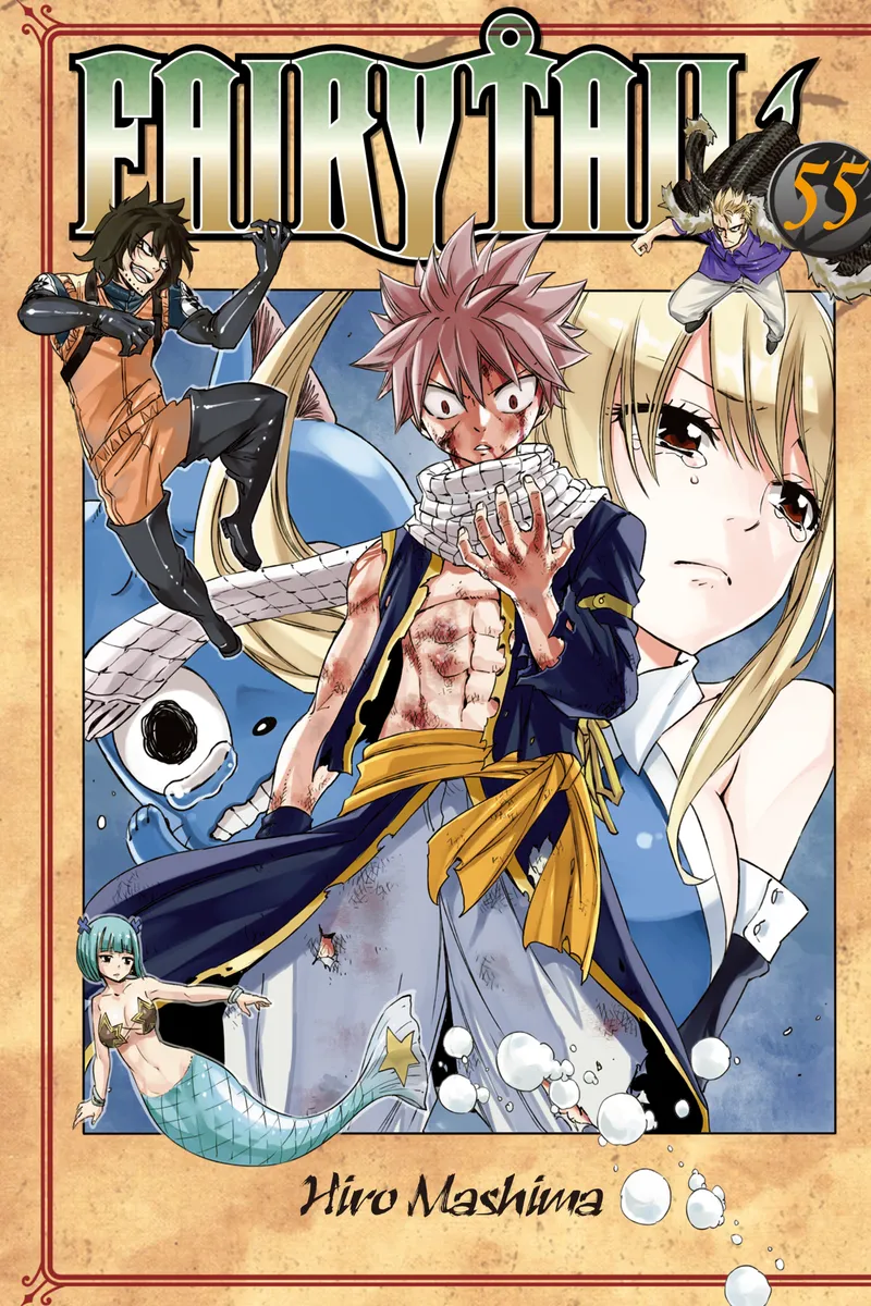 Cover of FAIRY TAIL Vol 55