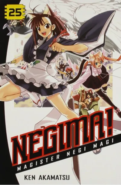 Cover of Negima! Vol 25