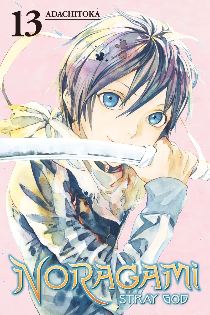 Cover of Noragami: Stray God Vol 13
