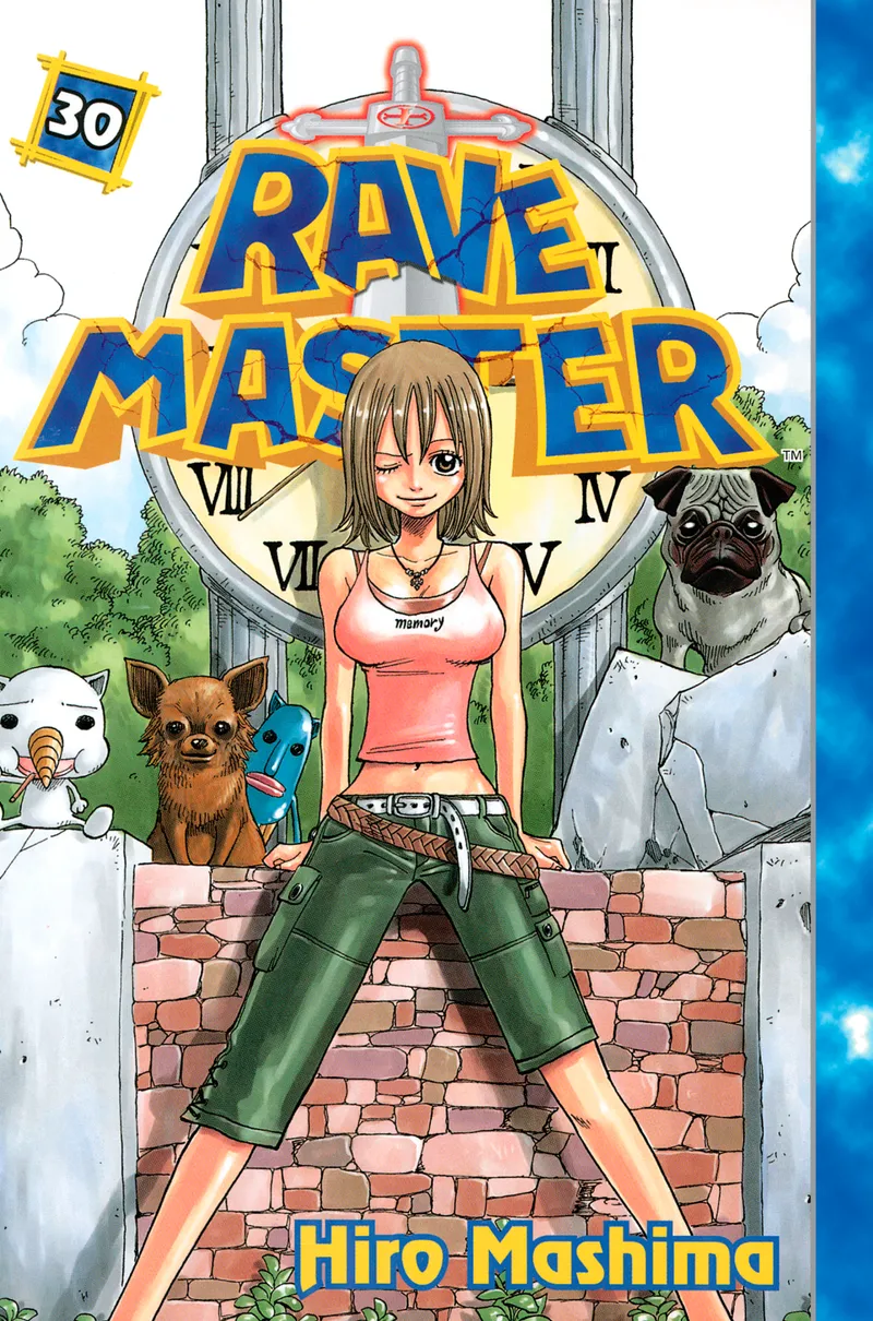 Cover of Rave Master Vol. 30
