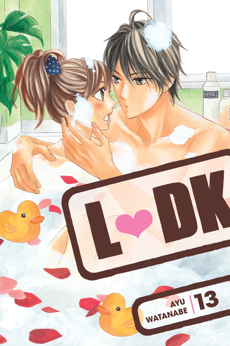 Cover of LDK Vol 13