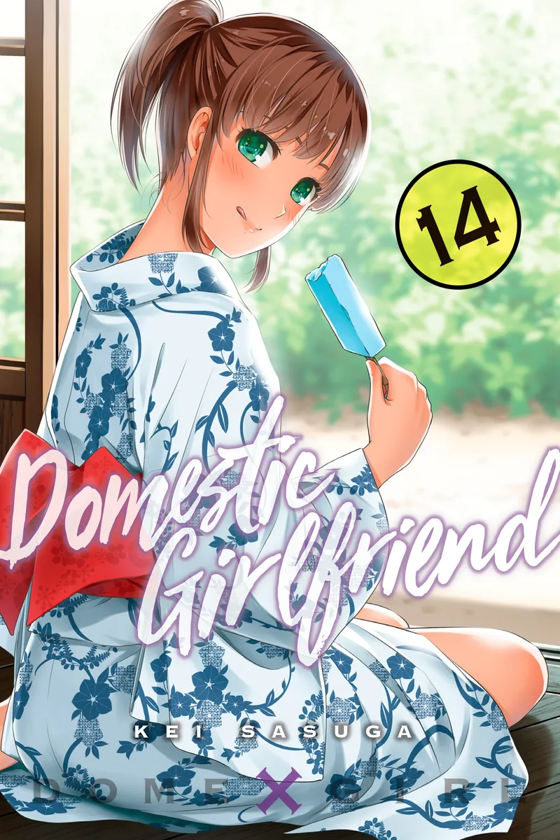 Cover of Domestic Girlfriend Vol 14